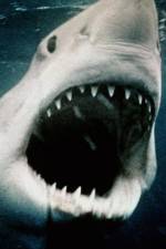 Watch Sharkmania: The Top 15 Biggest Baddest Bloodiest Bites 123netflix
