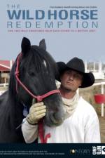 Watch The Wild Horse Redemption 123netflix