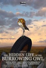 Watch The Hidden Life of the Burrowing Owl (Short 2008) 123netflix