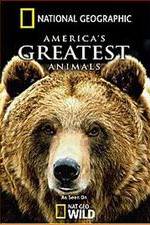 Watch America's Greatest Animals 123netflix