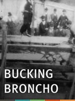 Watch Bucking Broncho 123netflix