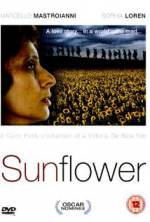 Watch Sunflower 123netflix