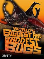 Watch World\'s Biggest and Baddest Bugs 123netflix