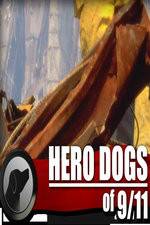 Watch Hero Dogs of 911 Documentary Special 123netflix