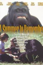 Watch A Summer to Remember 123netflix