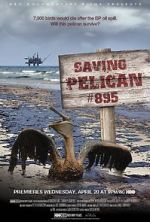Watch Saving Pelican 895 (Short 2011) 123netflix