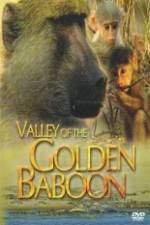Watch National Geographic Golden Baboons 123netflix