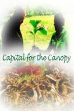 Watch Capital for the Canopy 123netflix