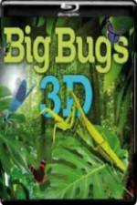 Watch Big Bugs in 3D 123netflix