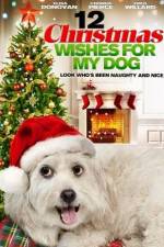 Watch 12 Christmas Wishes For My Dog 123netflix