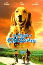 Watch The Trial of Old Drum 123netflix