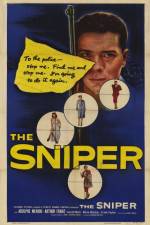 Watch The Sniper 123netflix