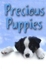 Watch Precious Puppies 123netflix
