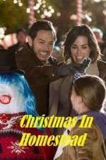 Watch Christmas in Homestead 123netflix