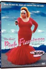 Watch Pink Flamingos 123netflix