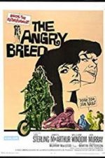 Watch The Angry Breed 123netflix