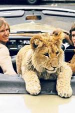 Watch The Lion Cub from Harrods 123netflix