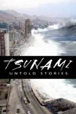 Watch Tsunami: Untold Stories 123netflix