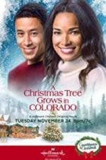 Watch A Christmas Tree Grows in Colorado 123netflix