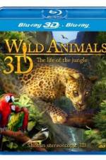 Watch Wild Animals - The Life of the Jungle 3D 123netflix