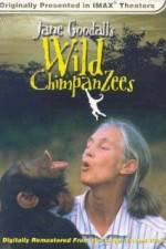 Watch Jane Goodall's Wild Chimpanzees 123netflix