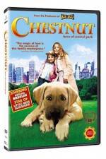 Watch Chestnut - Hero of Central Park 123netflix