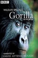 Watch Gorilla Revisited with David Attenborough 123netflix