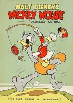 Watch Donald\'s Ostrich (Short 1937) 123netflix
