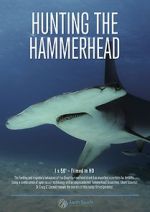 Watch Hunting the Hammerhead 123netflix