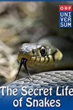 Watch The Secret Life of Snakes 123netflix