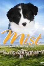 Watch Mist: The Tale of a Sheepdog Puppy 123netflix
