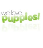 Watch We Love Puppies 123netflix