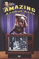 Watch Ed's Amazing Animal Acts 123netflix