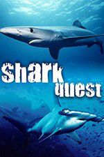 Watch Shark Quest 123netflix