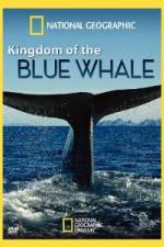 Watch National Geographic Kingdom of Blue Whale 123netflix