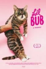 Watch Lil Bub & Friendz 123netflix