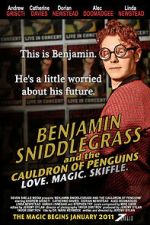 Watch Benjamin Sniddlegrass and the Cauldron of Penguins 123netflix