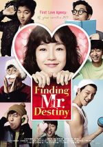 Watch Finding Mr. Destiny 123netflix