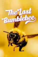 Watch The Last Bumblebee 123netflix