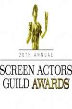 Watch The 20th Annual Screen Actors Guild Awards 123netflix