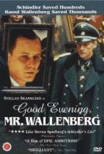 Watch Good Evening, Mr. Wallenberg 123netflix
