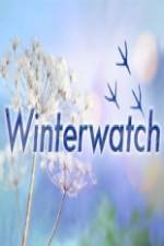 Watch Winterwatch 123netflix