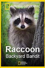Watch Raccoon: Backyard Bandit 123netflix