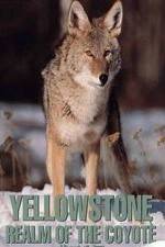 Watch Yellowstone: Realm of the Coyote 123netflix