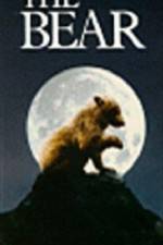 Watch The Bear - (L'ours) 123netflix