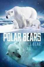 Watch Polar Bears Ice Bear 123netflix