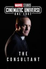 Watch Marvel One-Shot: The Consultant 123netflix