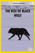 Watch The Rise of Black Wolf 123netflix