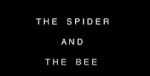 Watch The Spider and the Bee 123netflix