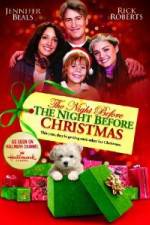 Watch Night Before The Night Before Christmas 123netflix